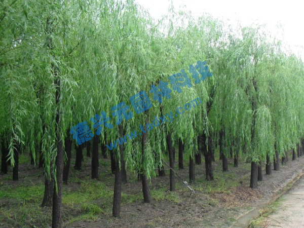 �c���鿴Ԕ����Ϣ���}������ ��x�Δ�(sh��)��2411