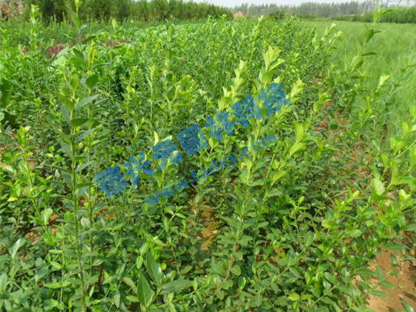 �c���鿴Ԕ����Ϣ���}�����~������ ��x�Δ�(sh��)��2787