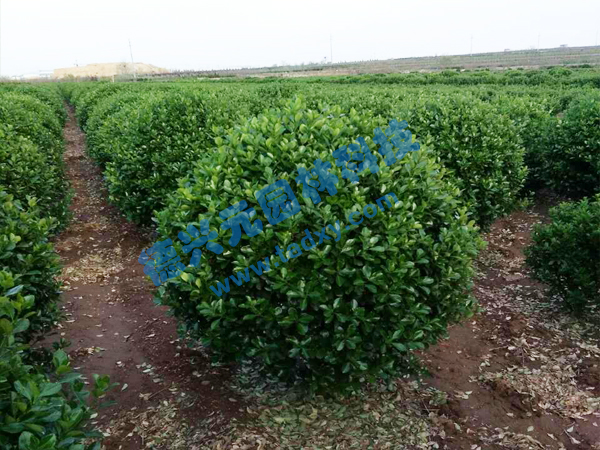 �c���鿴Ԕ����Ϣ���}�����~�S���� ��x�Δ�(sh��)��2571