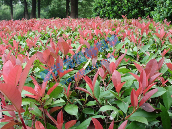 �c���鿴Ԕ����Ϣ���}���t�~ʯ� ��x�Δ�(sh��)��2468